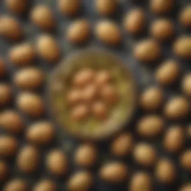 Price Comparison for Baklavalık Antep Pistachios Price comparison chart for baklavalık Antep pistachios