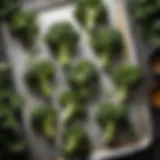 Fresh broccoli arranged on a baking sheet with seasonings