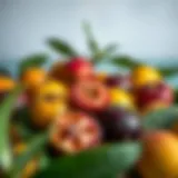 A variety of stone fruits showcasing vibrant colors and textures.