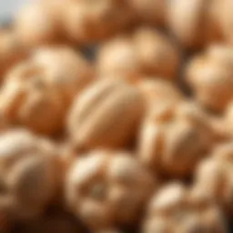 A close-up view of Çitlembik nuts showcasing their unique texture and color