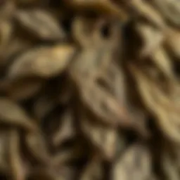 Dried bay leaves showcasing their texture and color