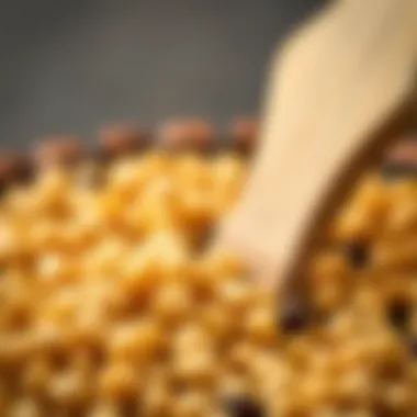 A close-up view of quinoa and chickpeas showcasing their nutritional benefits.