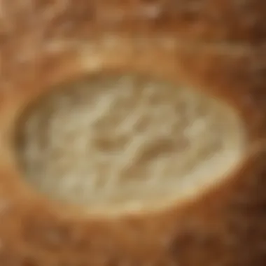 A close-up of gluten-free bread texture showcasing its fluffy interior