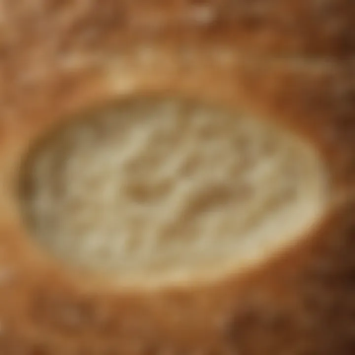 A close-up of gluten-free bread texture showcasing its fluffy interior