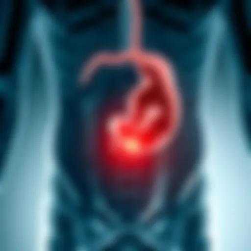 Illustration of the human abdomen highlighting the area of umbilical hernia.