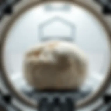 Detailed View of Dough in Kitchen Robot Close-up of dough being kneaded in a kitchen robot