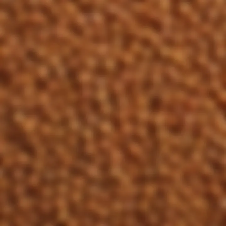 A close-up of lentils showcasing their texture and color