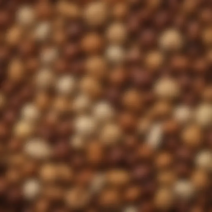 A close-up view of various types of nuts including hazelnuts, showcasing their varying textures and colors.