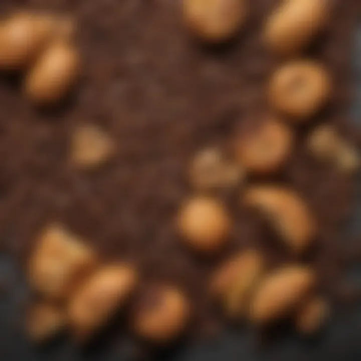 A selection of various coffee beans displayed alongside an array of delicate pastries