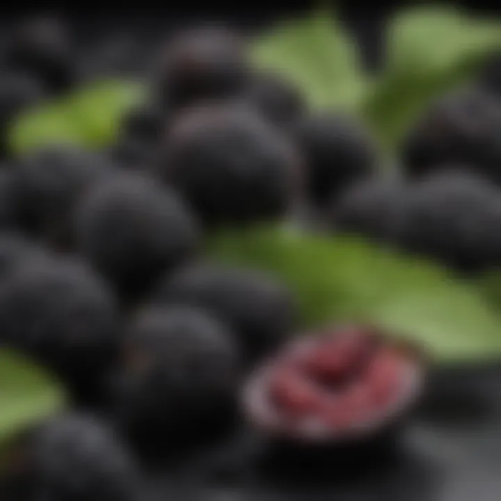 An array of nutrients and vitamins represented with black mulberries