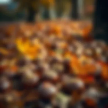A vibrant autumn scene with chestnuts on the ground amidst fallen leaves