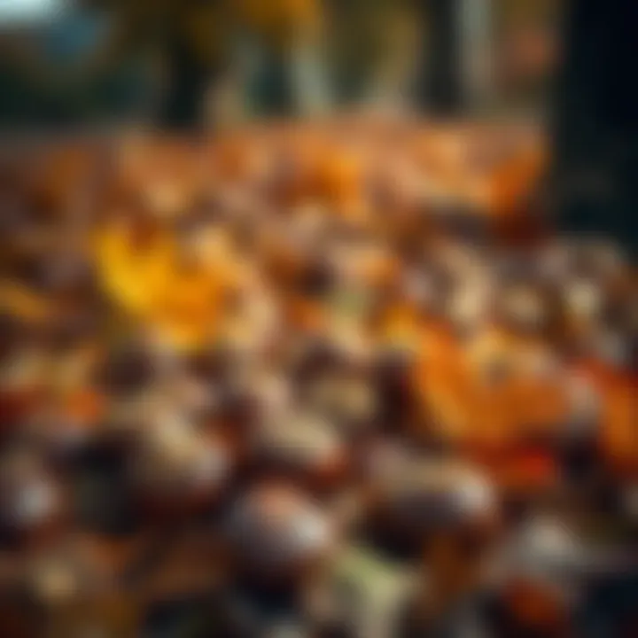 A vibrant autumn scene with chestnuts on the ground amidst fallen leaves
