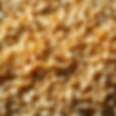 A close-up of whole grains showcasing their texture and fiber content