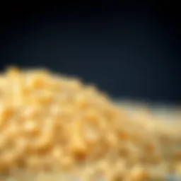 A close-up of natural ginger sugar granules showcasing its texture.
