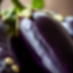 Close-up of an eggplant showcasing its unique purple skin and texture