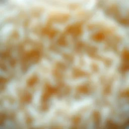 A close-up of rice grains highlighting their texture and shine