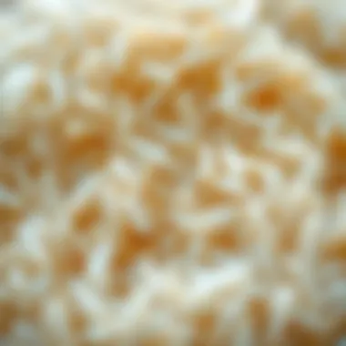 The Beauty of Rice Grains A close-up of rice grains highlighting their texture and shine