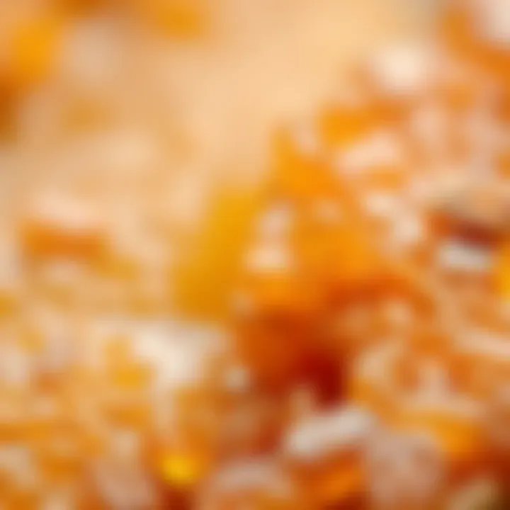 The Rich Texture of Propolis Resin Close-up view of propolis resin