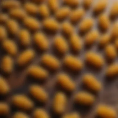 A close-up view of propolis resin on a wooden surface, showcasing its natural texture and color.