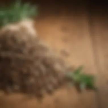 Close-up of cumin seeds and herbs on a wooden surface