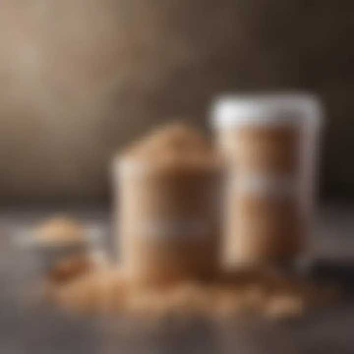 Varieties of Protein Powders Available in the Market