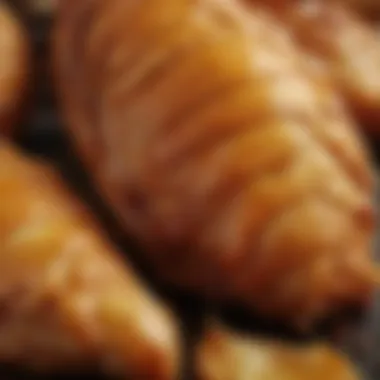 Close-up of perfectly golden-brown chicken skin